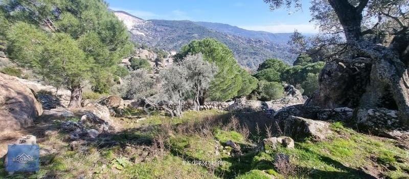 Milas İkiztaş 465m2 Arazi En Yakın Ev 30 Metre De - Görsel 3