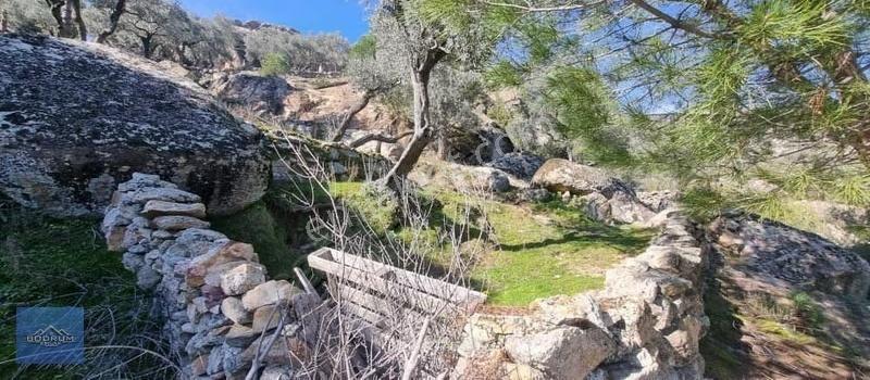 Milas İkiztaş 465m2 Arazi En Yakın Ev 30 Metre De - Görsel 2