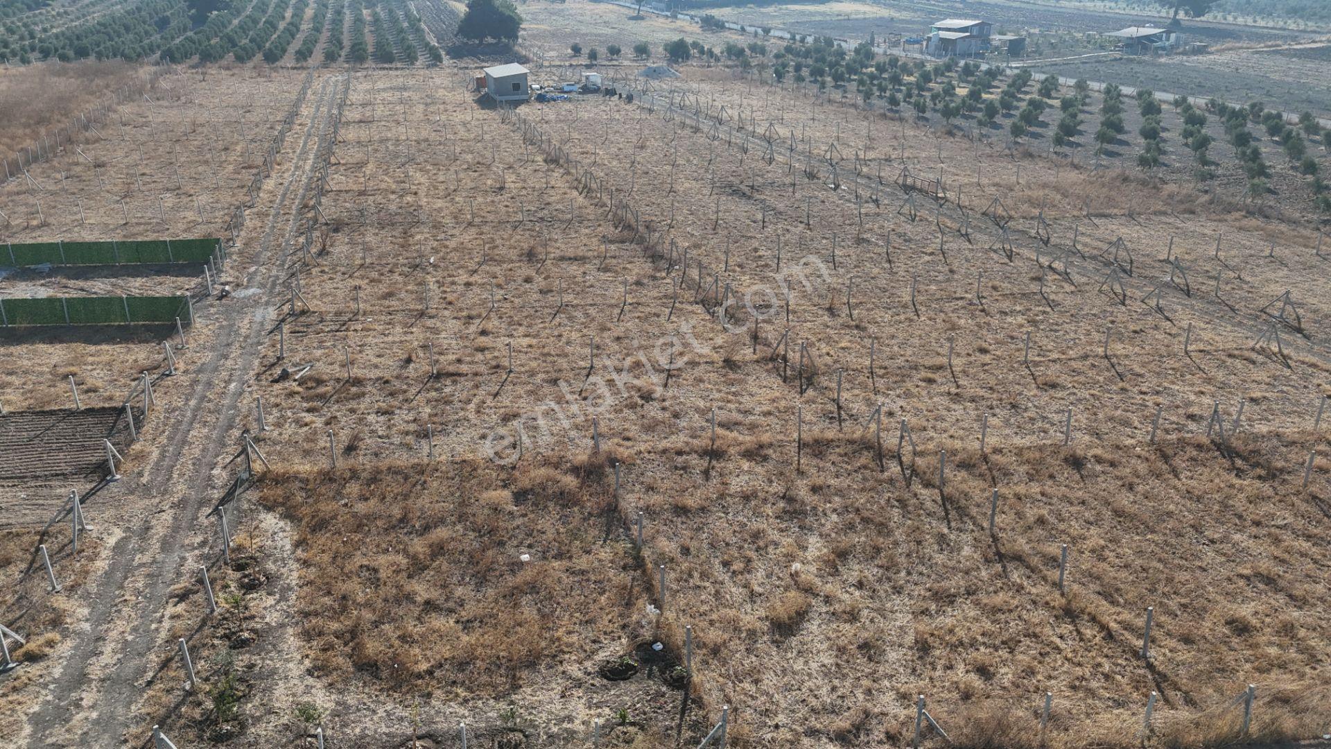 İzmir Menderes Develi Üstünde 300 M2 Noter Satışlı Bahçeler - Görsel 34