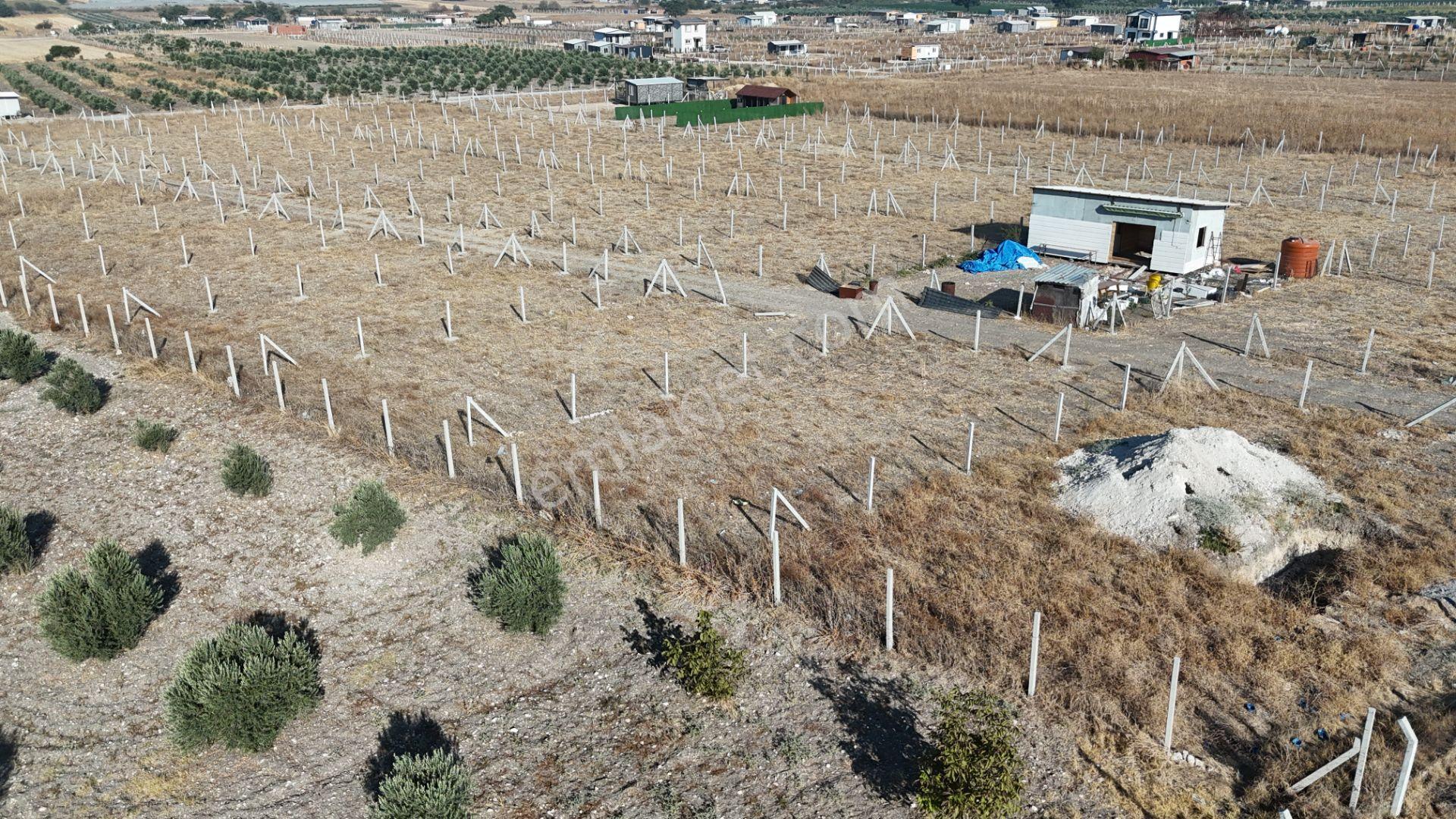 İzmir Menderes Develi Üstünde 300 M2 Noter Satışlı Bahçeler - Görsel 32