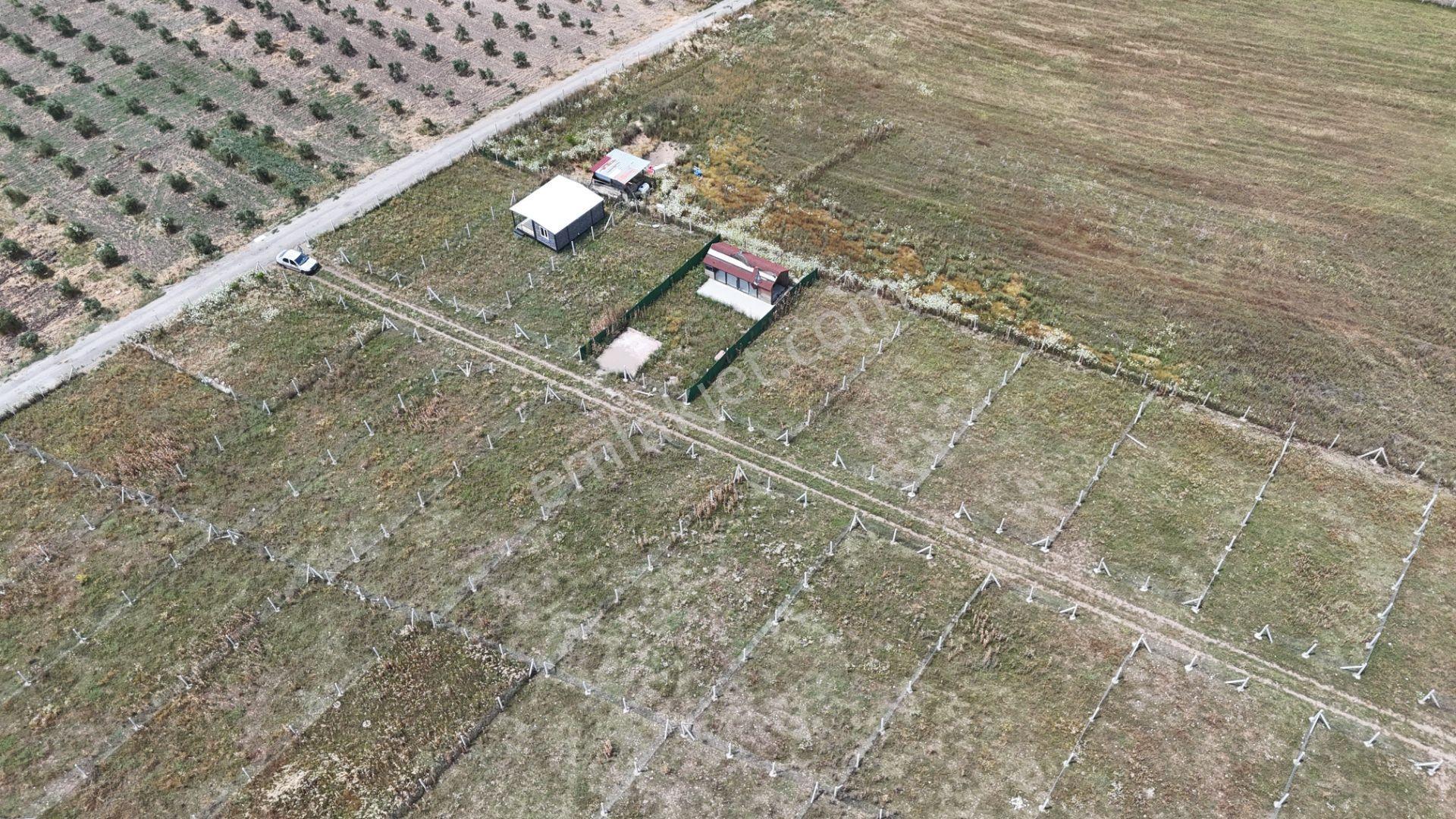 İzmir Menderes Develi Üstünde 300 M2 Noter Satışlı Bahçeler - Görsel 25