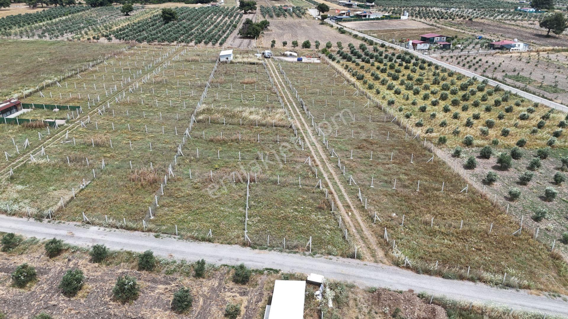İzmir Menderes Develi Üstünde 300 M2 Noter Satışlı Bahçeler - Görsel 10