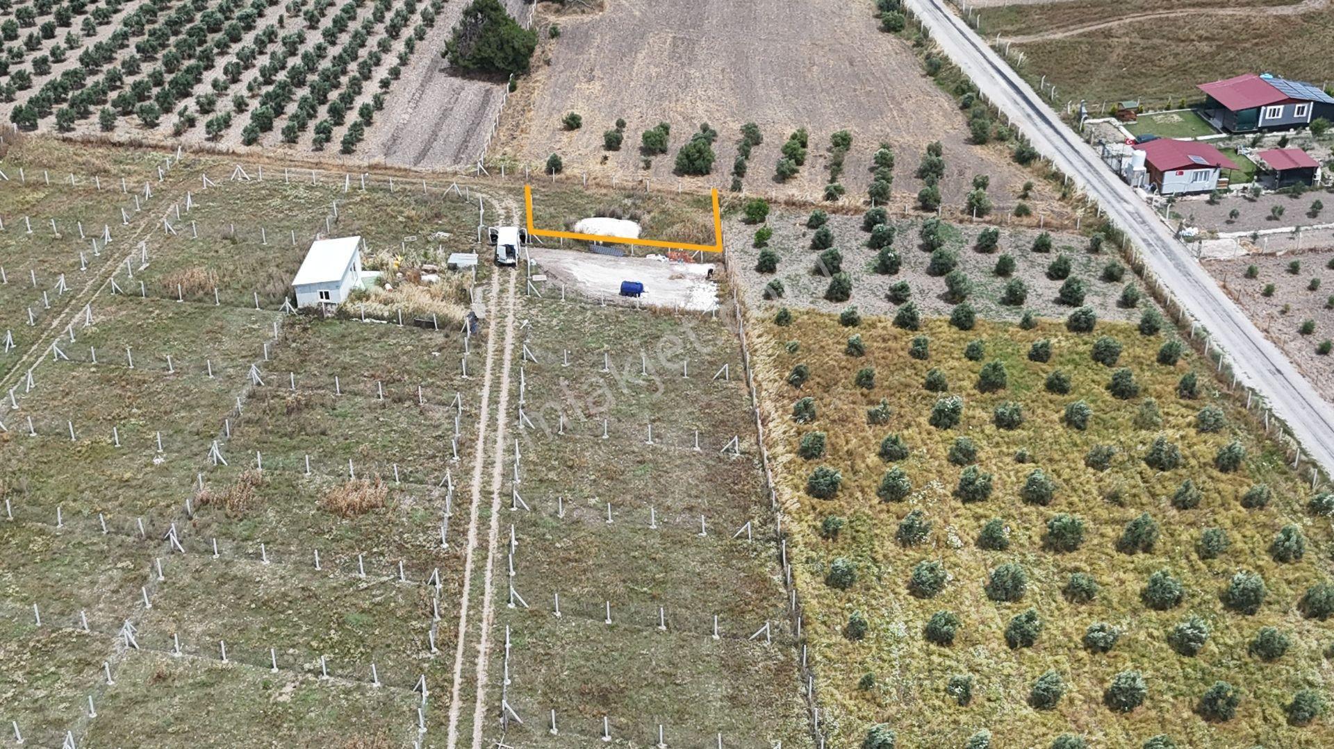İzmir Menderes Develi Üstünde 300 M2 Noter Satışlı Bahçeler