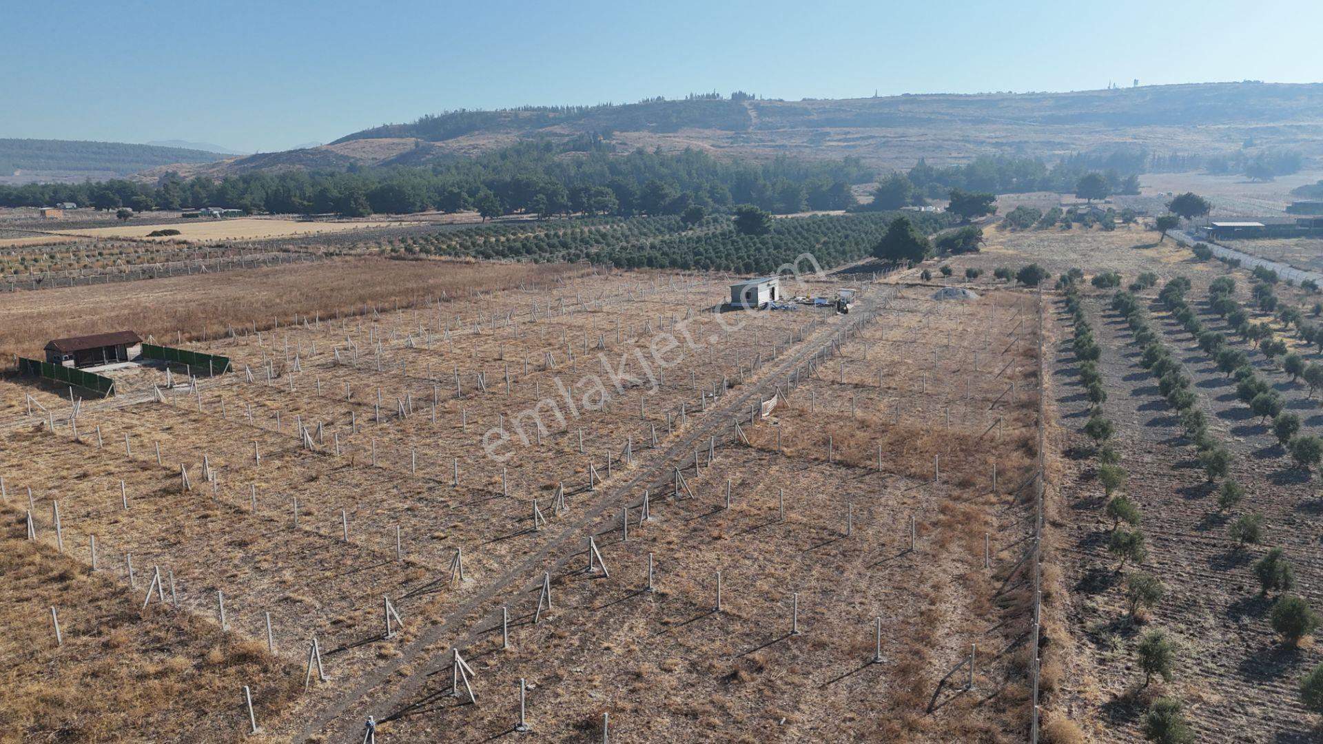 İzmir Menderes Develi Üstünde 300 M2 Noter Satışlı Bahçeler - Görsel 29