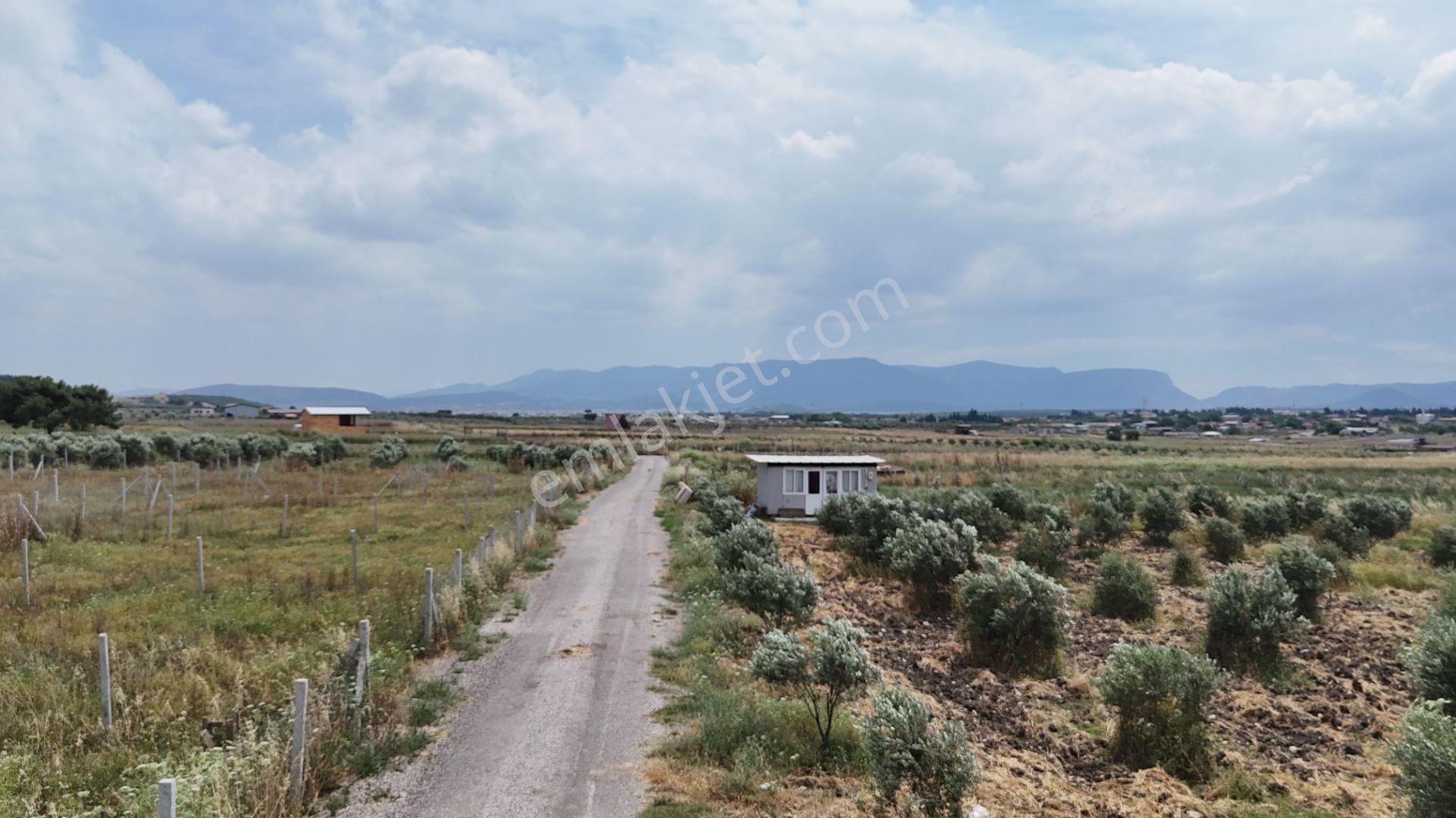 İzmir Menderes Develi Üstünde 300 M2 Noter Satışlı Bahçeler - Görsel 18