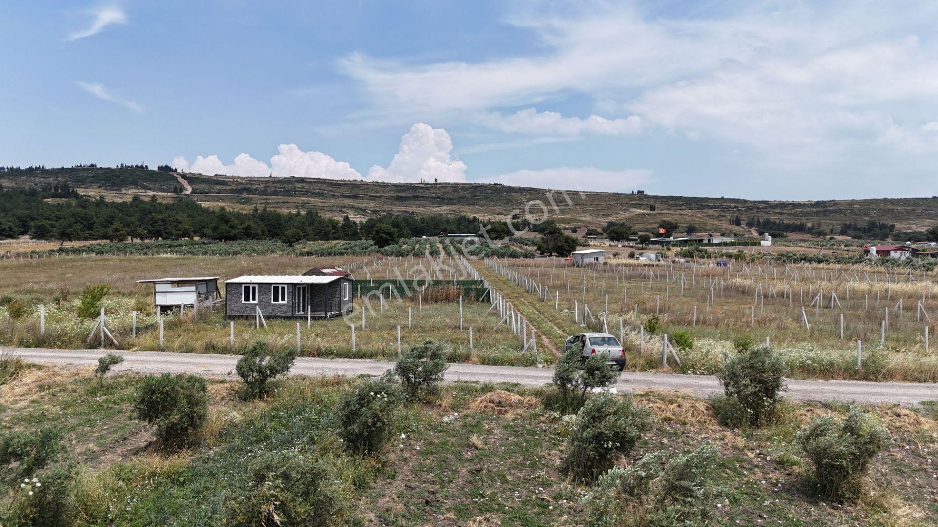 İzmir Menderes Develi Üstünde 300 M2 Noter Satışlı Bahçeler - Görsel 7