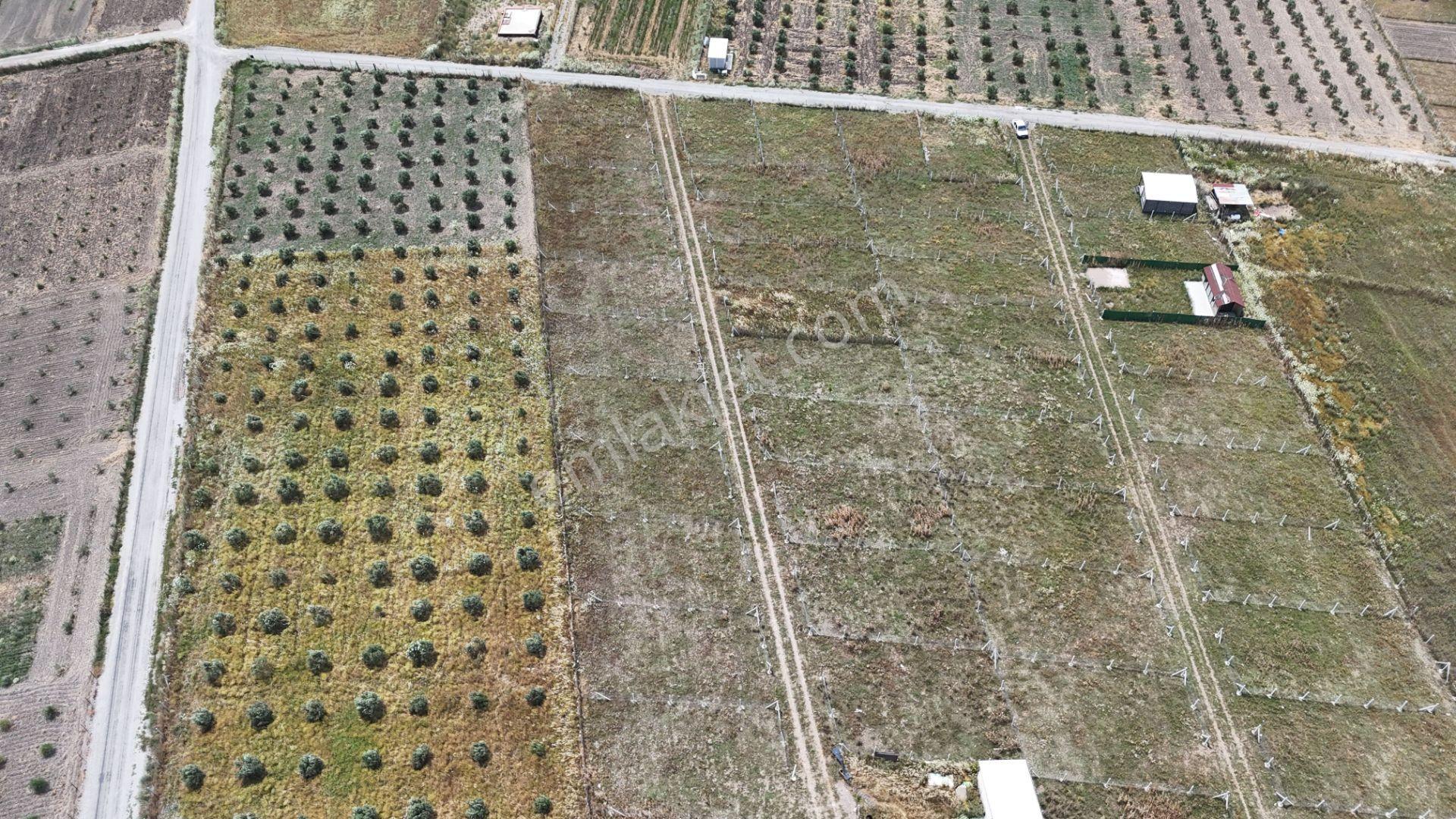 İzmir Menderes Develi Üstünde 300 M2 Noter Satışlı Bahçeler - Görsel 6