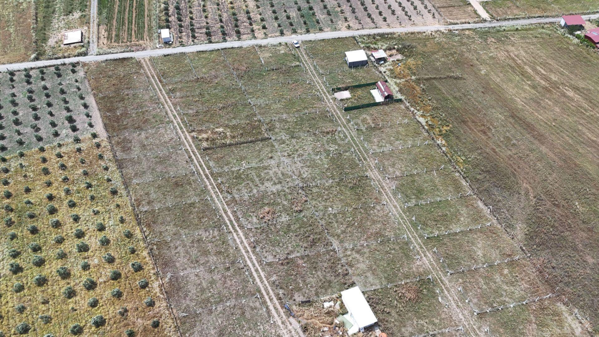 İzmir Menderes Develi Üstünde 300 M2 Noter Satışlı Bahçeler - Görsel 8