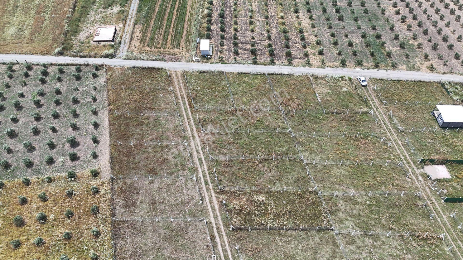 İzmir Menderes Develi Üstünde 300 M2 Noter Satışlı Bahçeler - Görsel 15