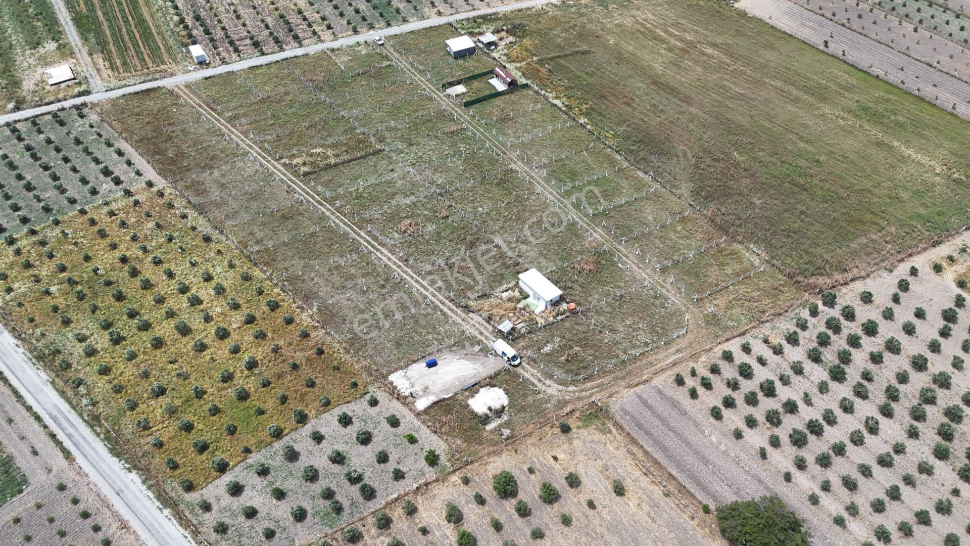 İzmir Menderes Develi Üstünde 300 M2 Noter Satışlı Bahçeler - Görsel 23