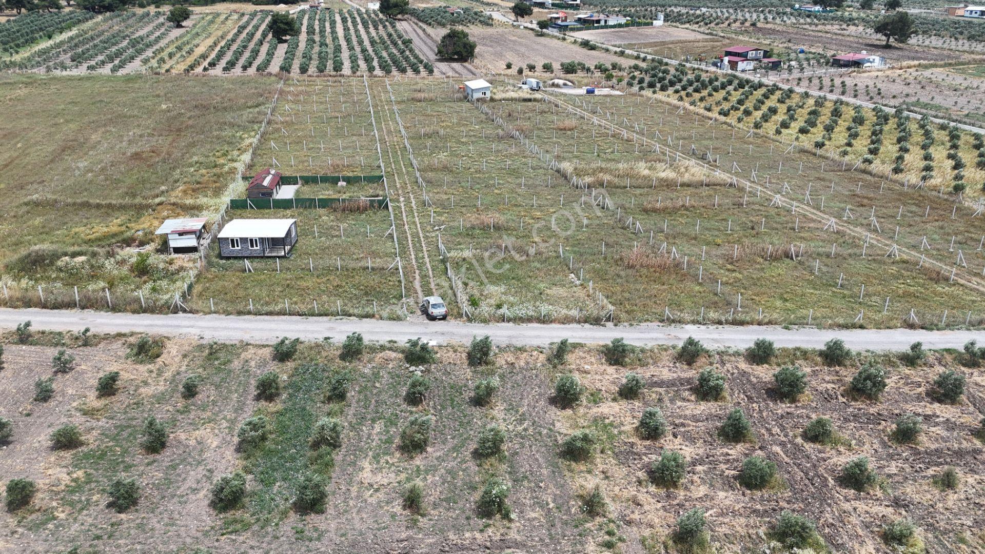 İzmir Menderes Develi Üstünde 300 M2 Noter Satışlı Bahçeler - Görsel 4