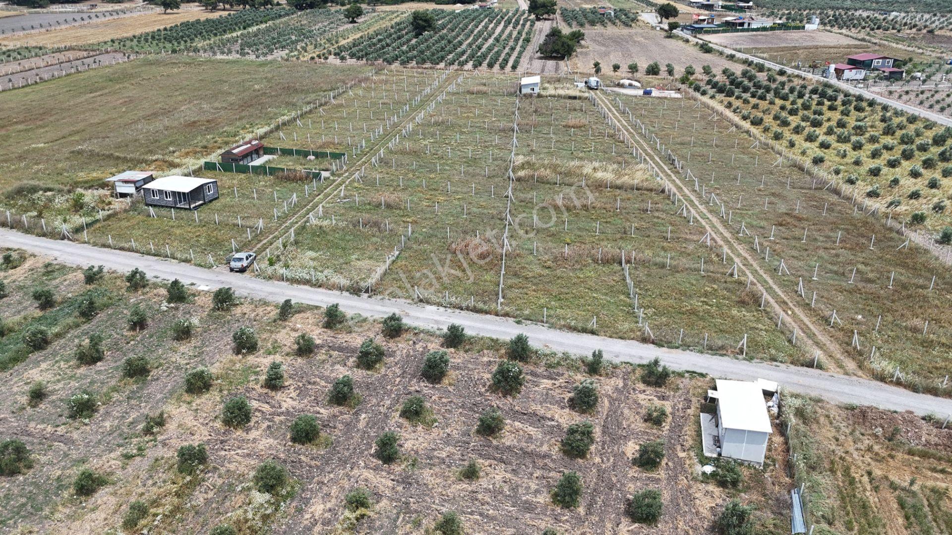 İzmir Menderes Develi Üstünde 300 M2 Noter Satışlı Bahçeler - Görsel 24
