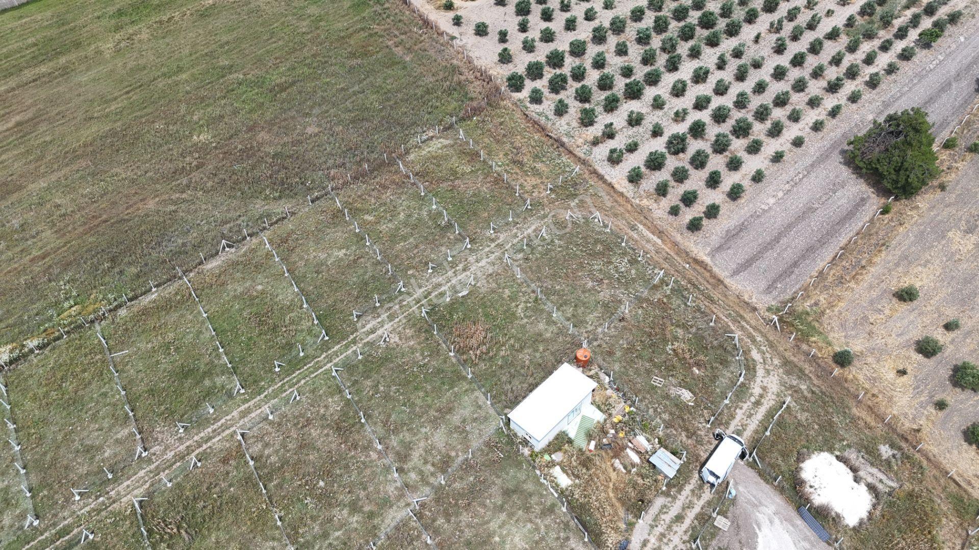 İzmir Menderes Develi Üstünde 300 M2 Noter Satışlı Bahçeler - Görsel 11