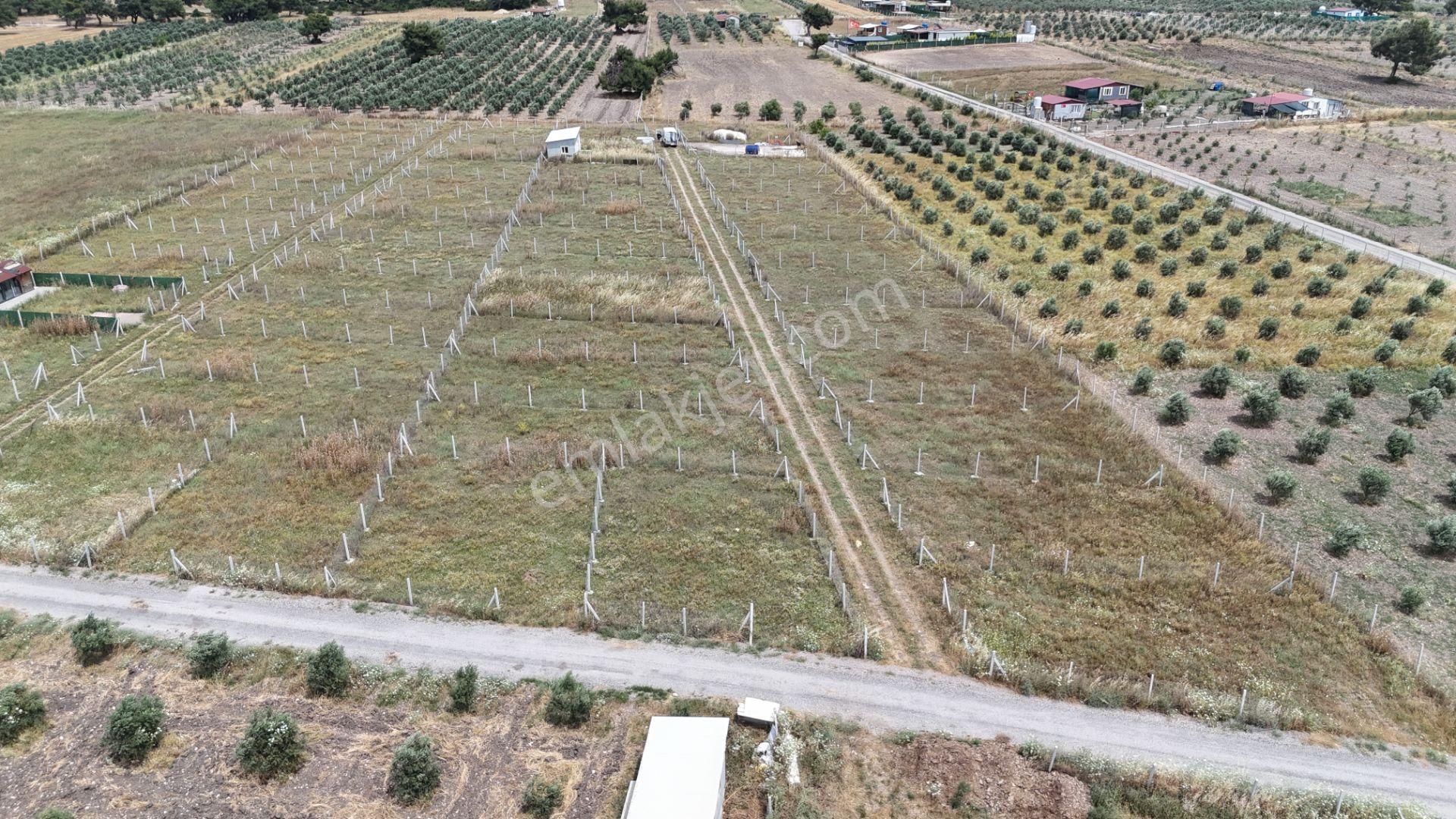 İzmir Menderes Develi Üstünde 300 M2 Noter Satışlı Bahçeler - Görsel 26