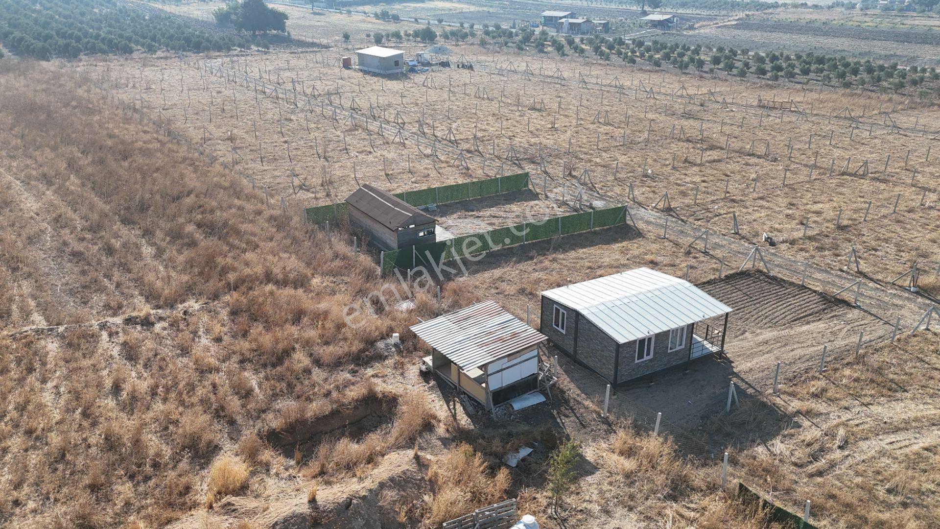 İzmir Menderes Develi Üstünde 300 M2 Noter Satışlı Bahçeler - Görsel 35