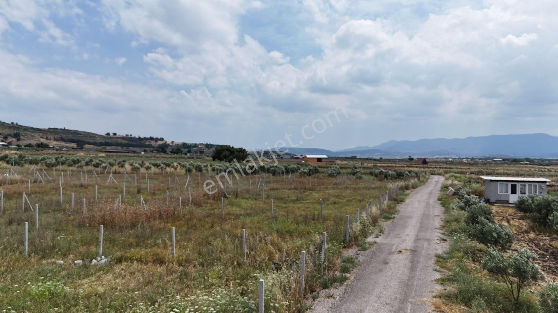 İzmir Menderes Develi Üstünde 300 M2 Noter Satışlı Bahçeler - Görsel 28