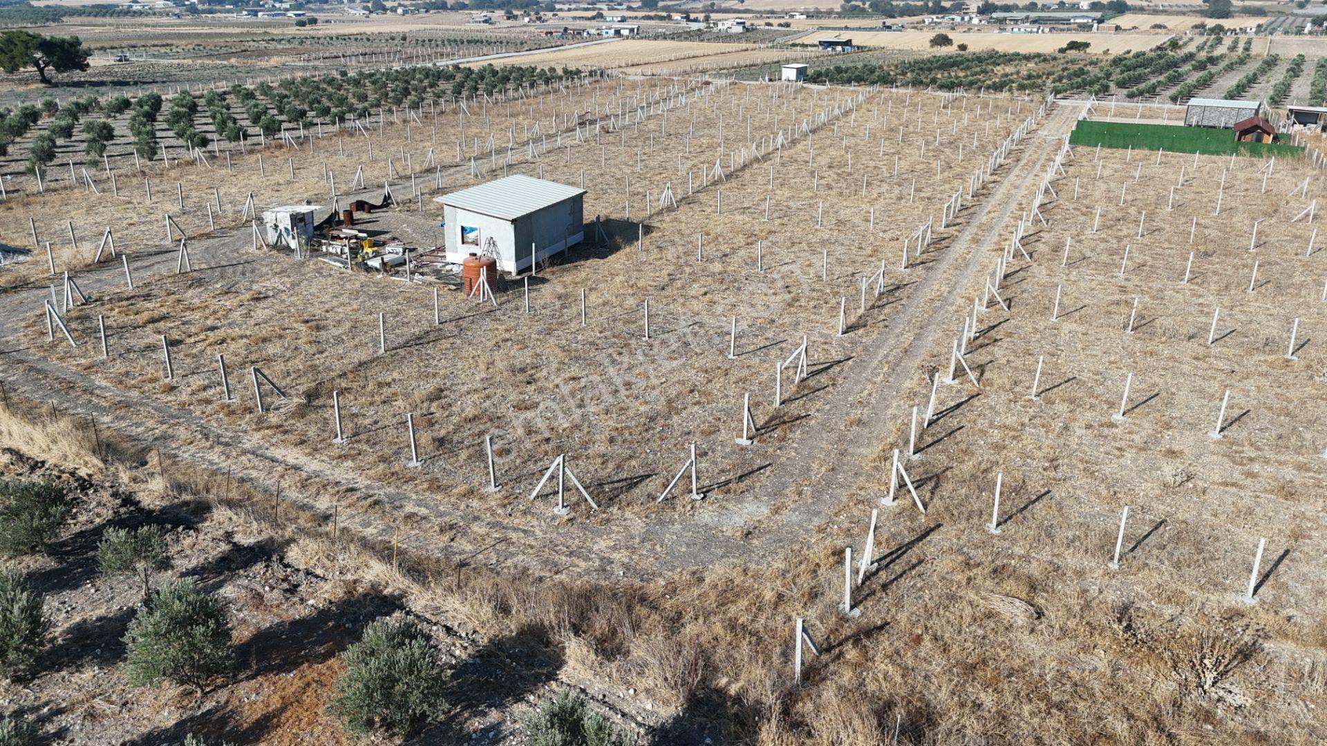 İzmir Menderes Develi Üstünde 300 M2 Noter Satışlı Bahçeler - Görsel 33