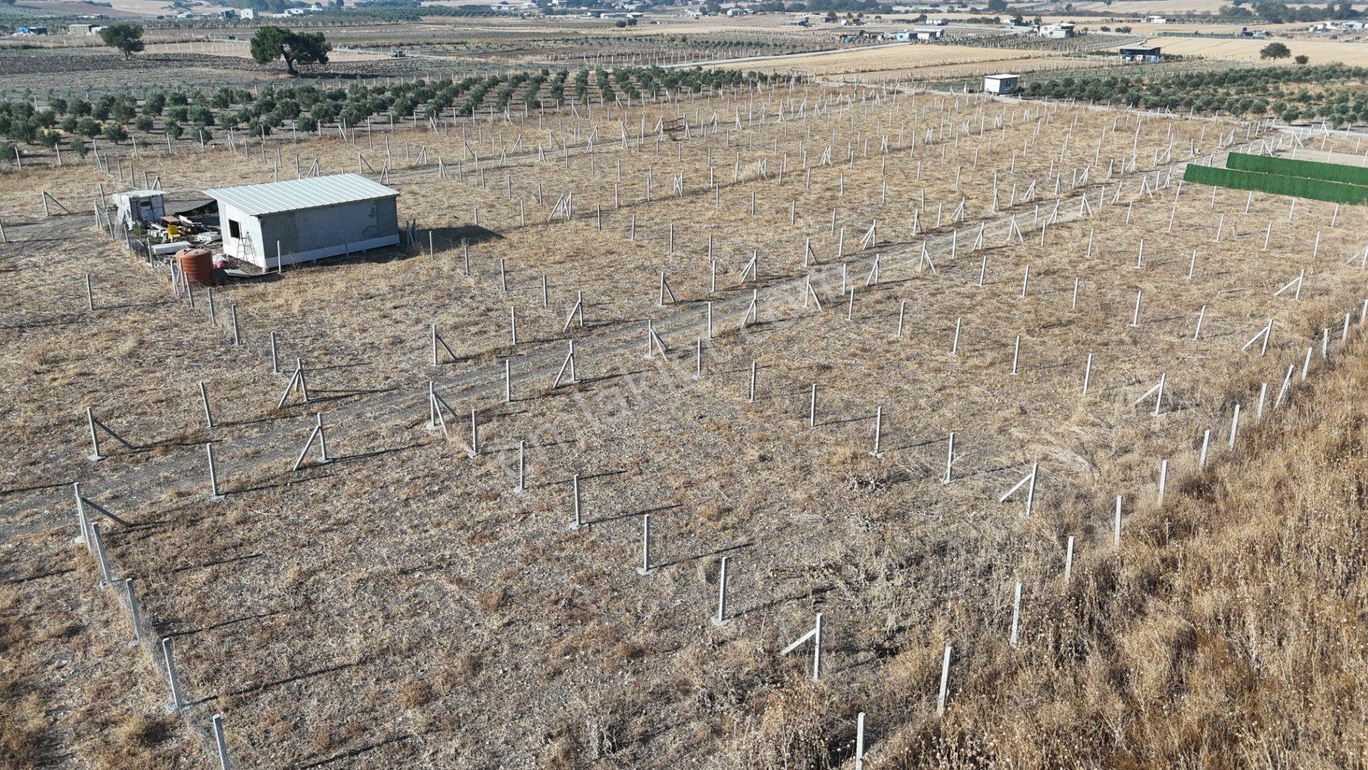 İzmir Menderes Develi Üstünde 300 M2 Noter Satışlı Bahçeler - Görsel 31