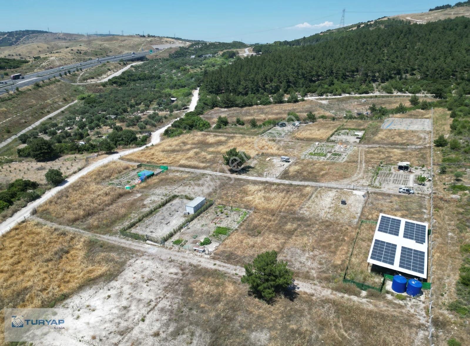 Aliağa Samurlu Satılık Tarla