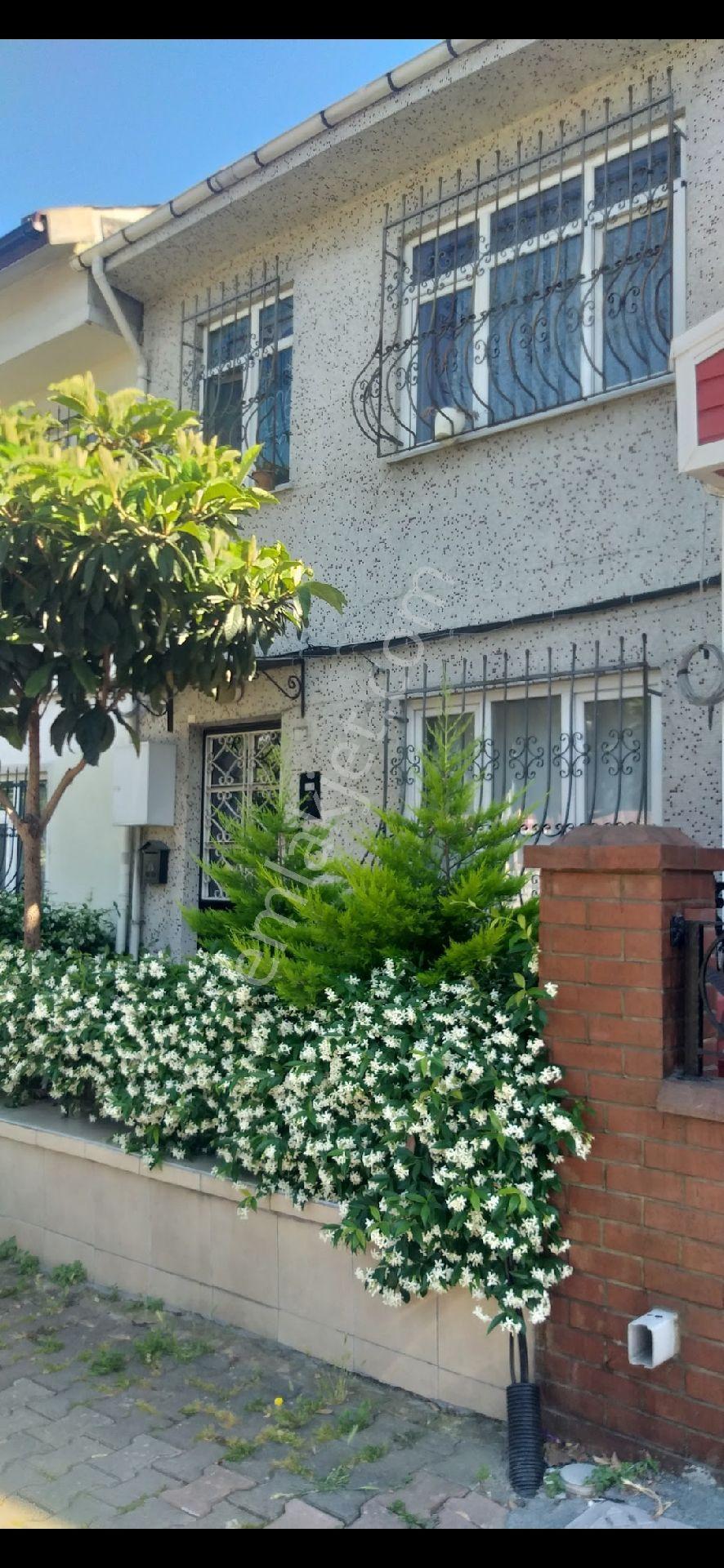 Müstakil & Villa