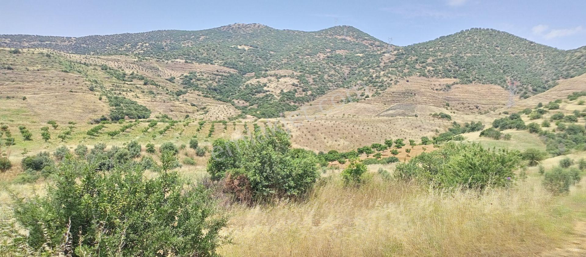 Büyük Ve Ucuza Arazim Olsun Diyorsan İşte Fırsat Kapınıza Geldi. Açıklamaları Okuyun Lütfen - Görsel 3
