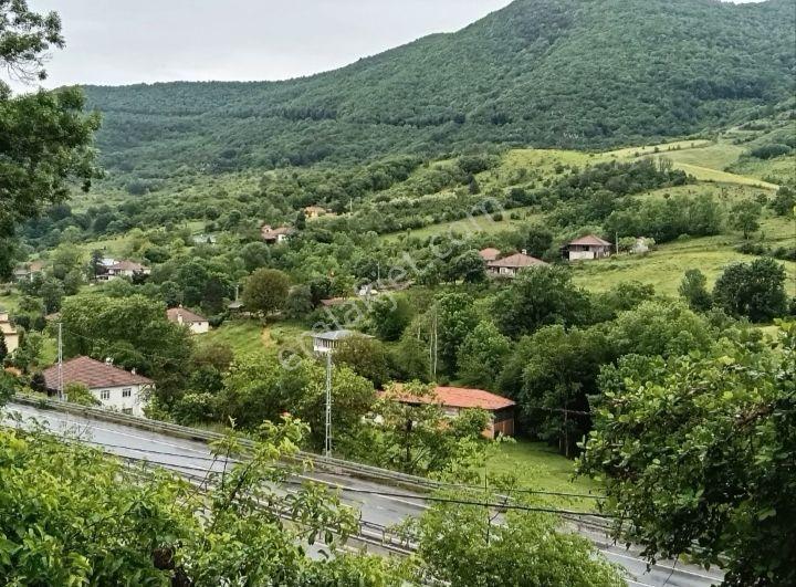 Sahibinden Satılık Tarım Arazisi Kadastrol Yola Cepheli. - Görsel 2