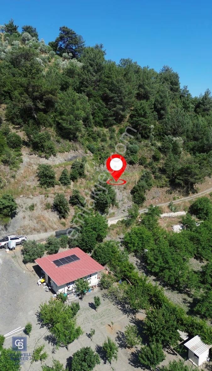 İzmir Güzelbahçe Payamlı'da Dereye Yakın Satılık Zeytinlik