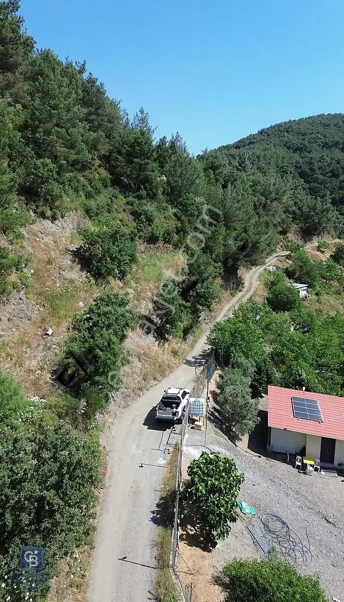 İzmir Güzelbahçe Payamlı'da Dereye Yakın Satılık Zeytinlik - Görsel 5