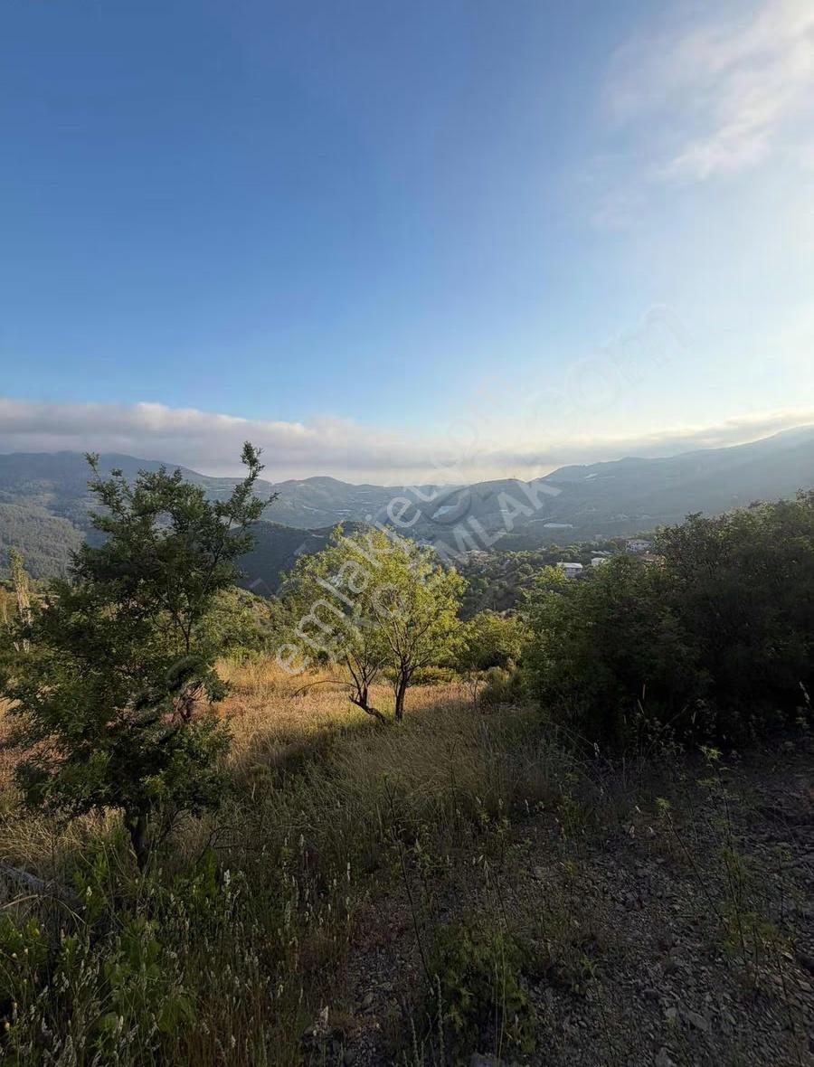 Alanya Yenice Mah Satılık 7.700m2 Tarla - Görsel 2