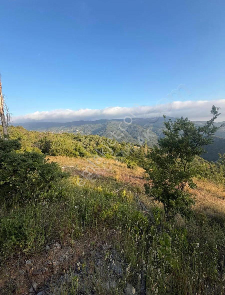 Alanya Yenice Mah Satılık 7.700m2 Tarla - Görsel 12