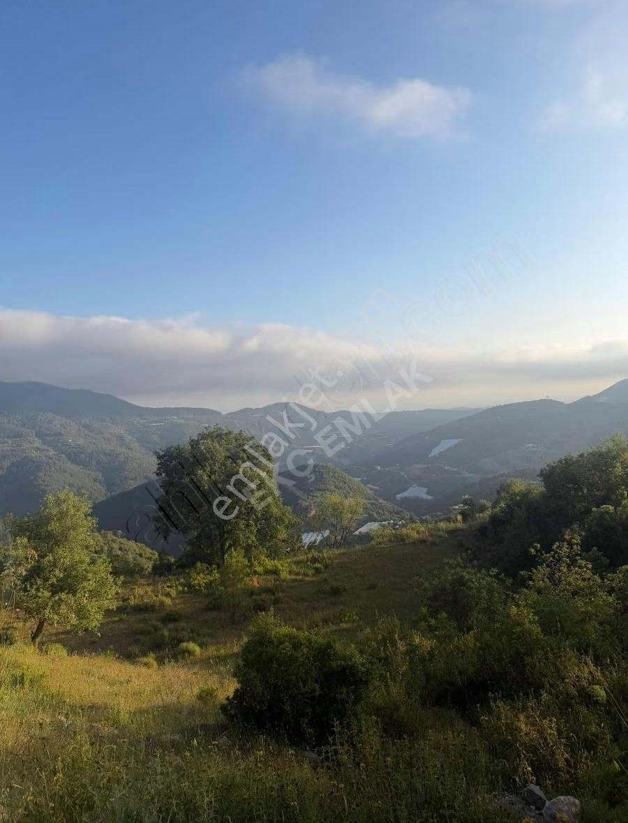 Alanya Yenice Mah Satılık 7.700m2 Tarla - Görsel 4