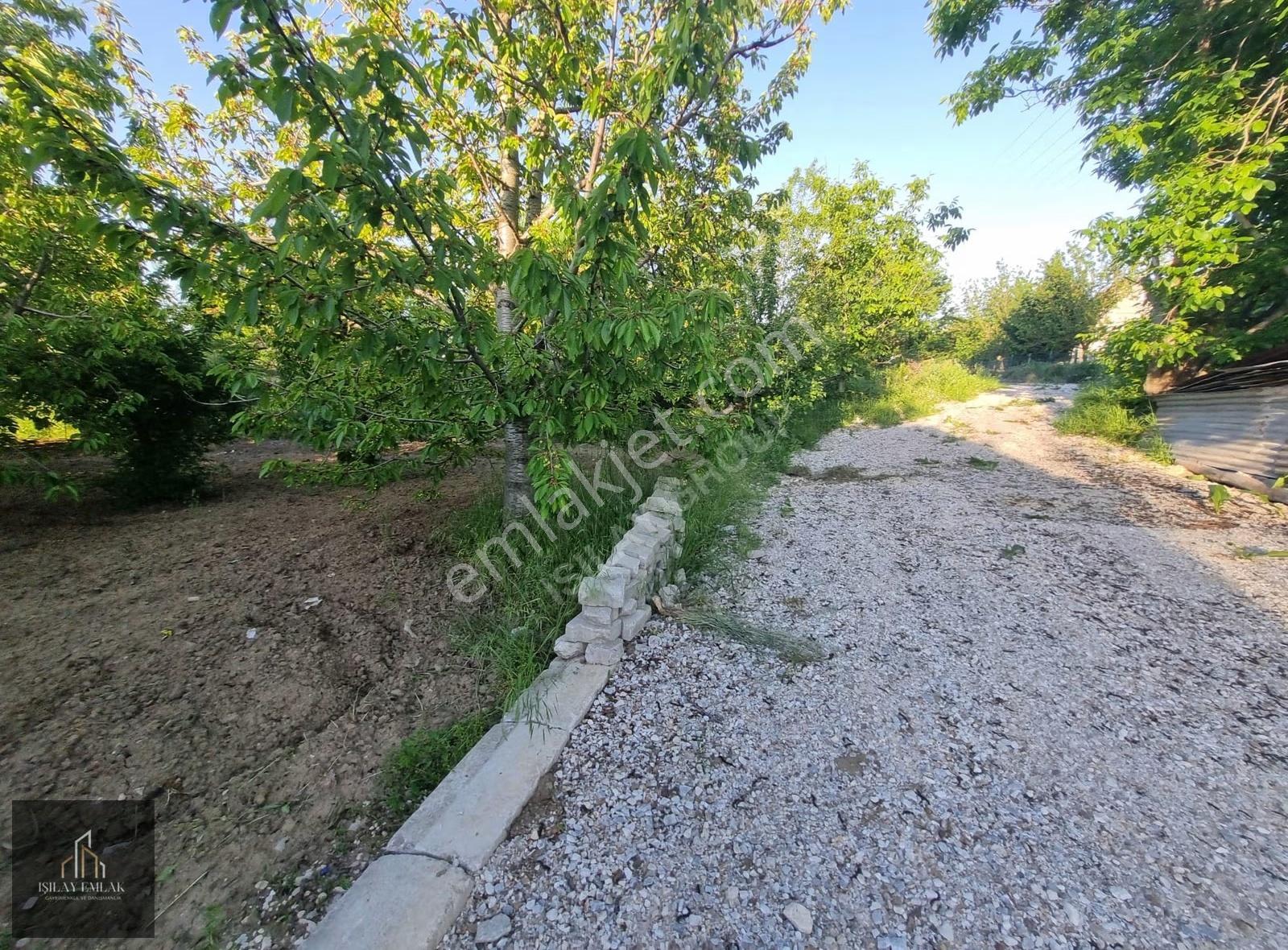 Afyon Erkmen Hürriyet Mahallesinde Kiralık Evli Bahçe - Görsel 7