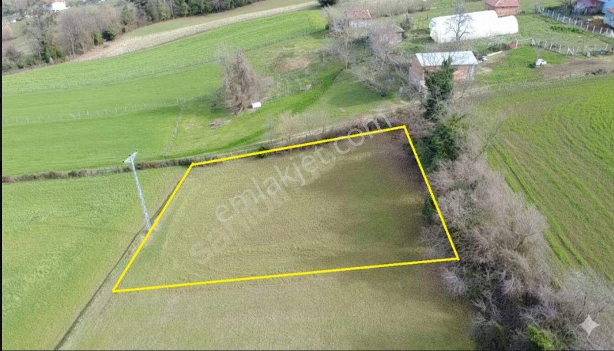 1.375 M2 Müstakip Tapulu Sinop /merkez/ Taypaklı