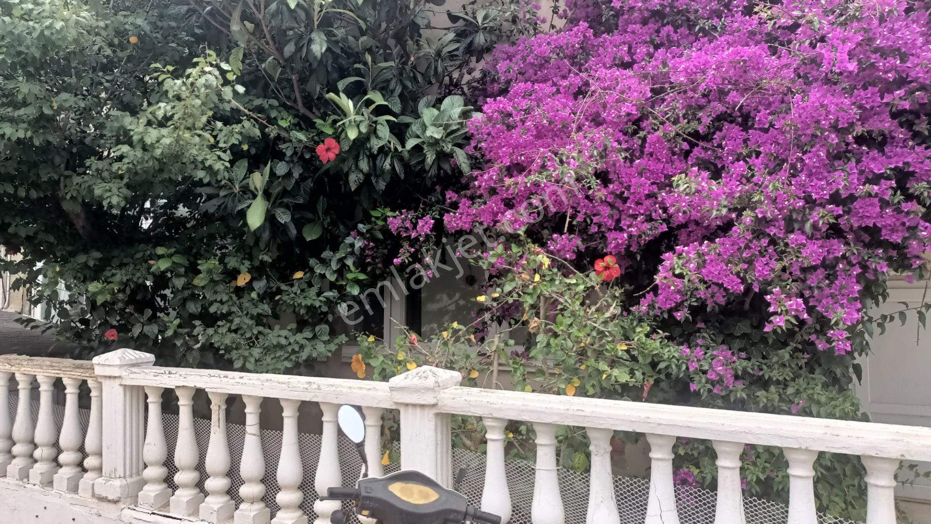 Çeşme Ilıca Merkeze Ve Ilıca Plajına Yürüme Mesafesinde Yıllık/sezonluk Kiralık Daire - Görsel 4