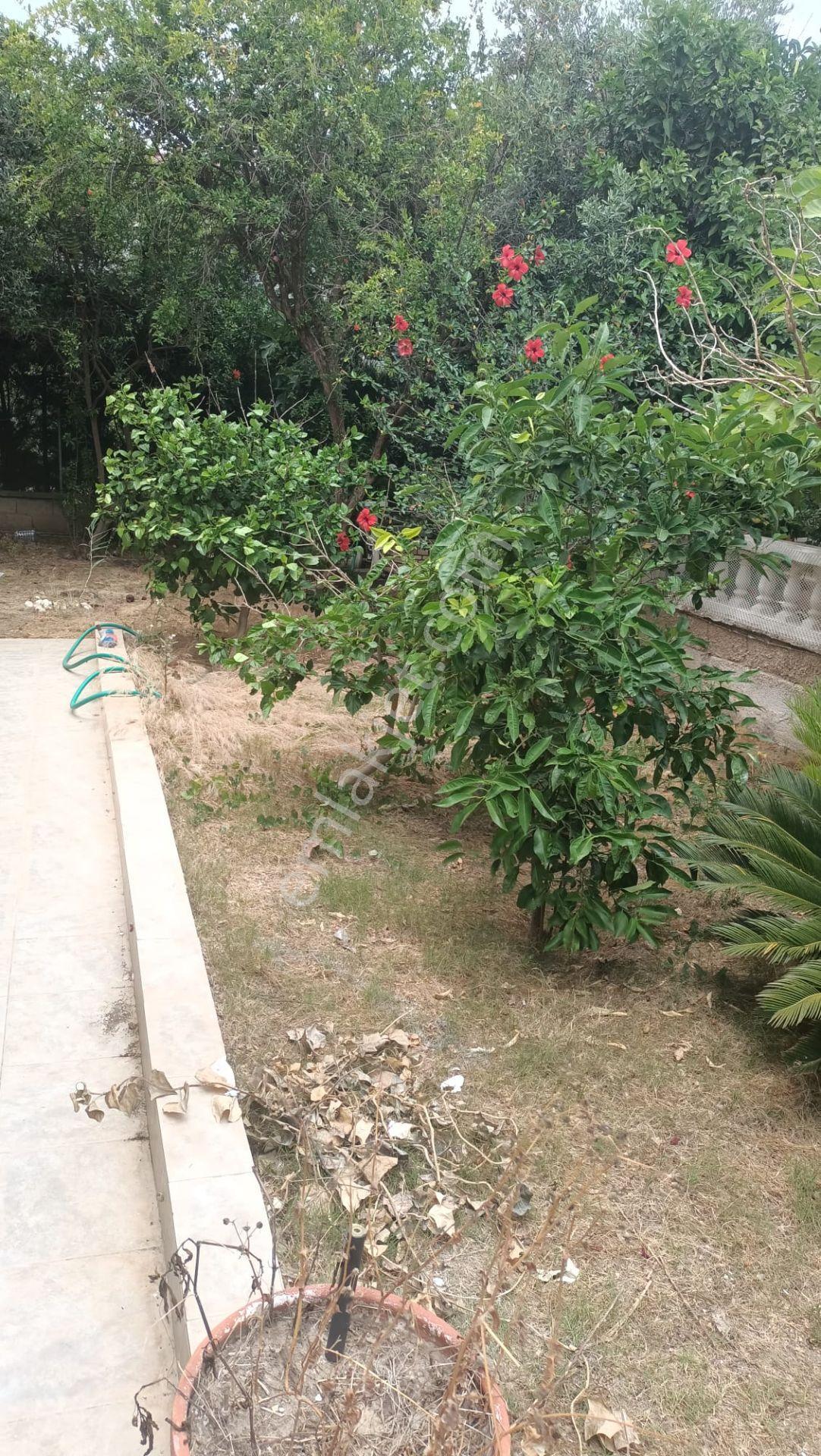 Çeşme Ilıca Merkeze Ve Ilıca Plajına Yürüme Mesafesinde Yıllık/sezonluk Kiralık Daire - Görsel 8