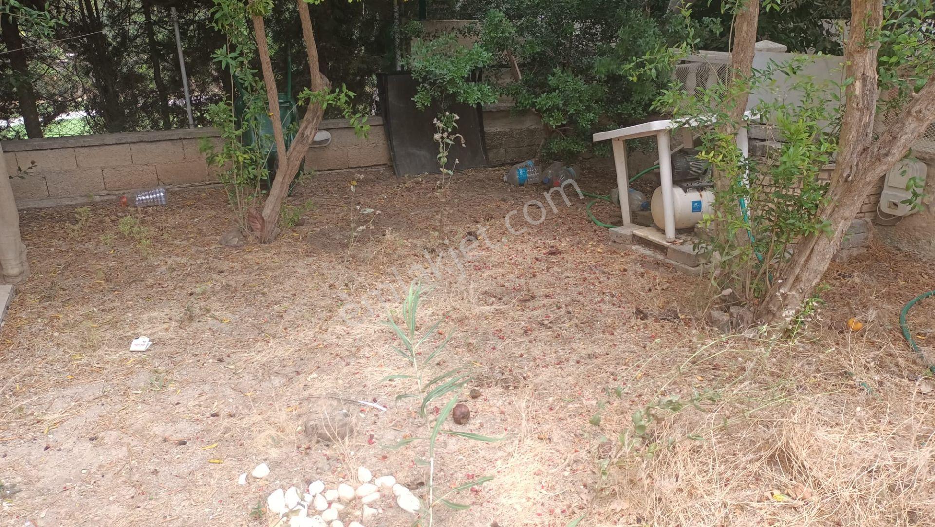 Çeşme Ilıca Merkeze Ve Ilıca Plajına Yürüme Mesafesinde Yıllık/sezonluk Kiralık Daire - Görsel 7
