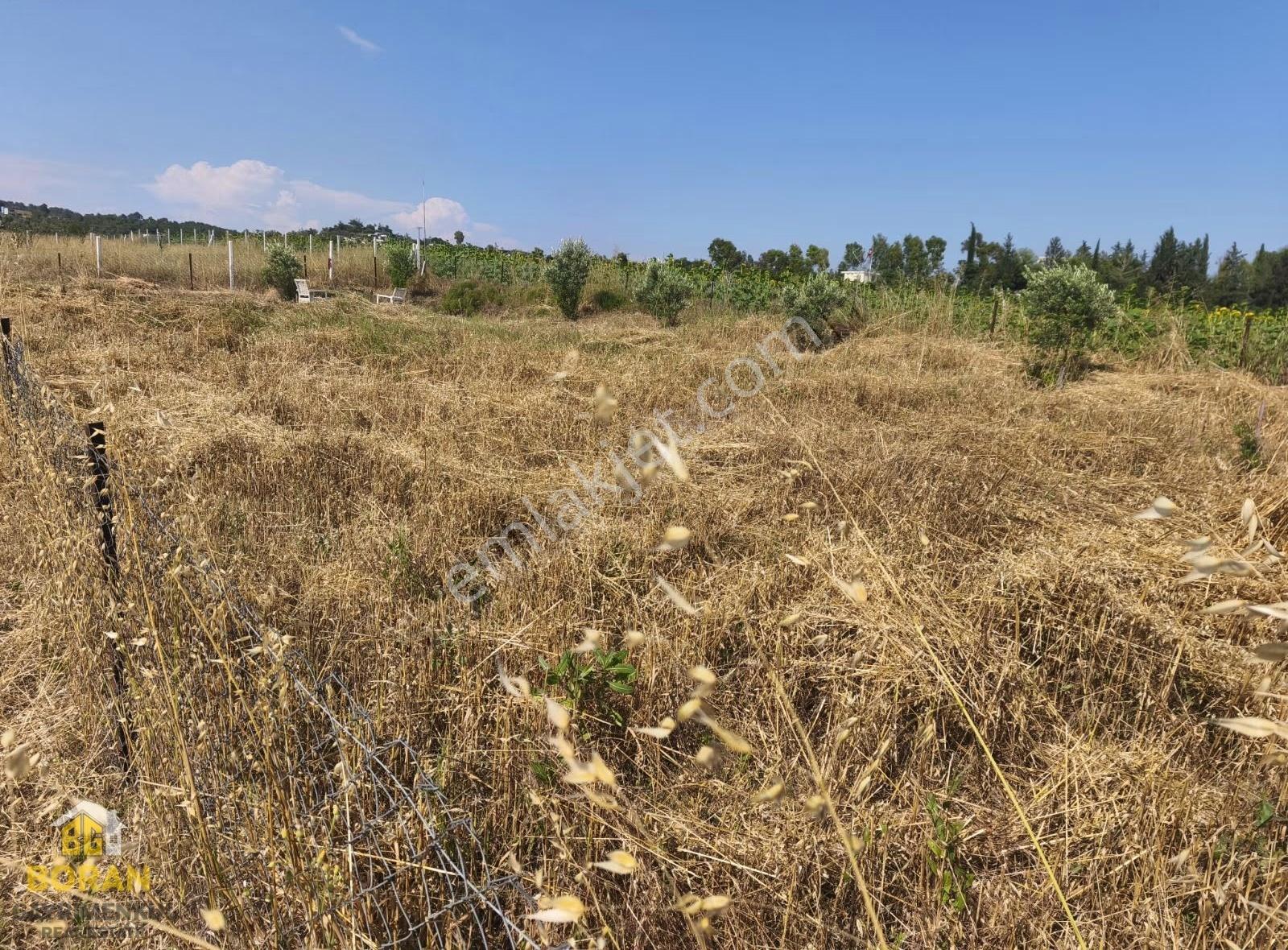 Boran Gayrimenkulden Çukurova Pirilide Satılık Arsa - Görsel 9