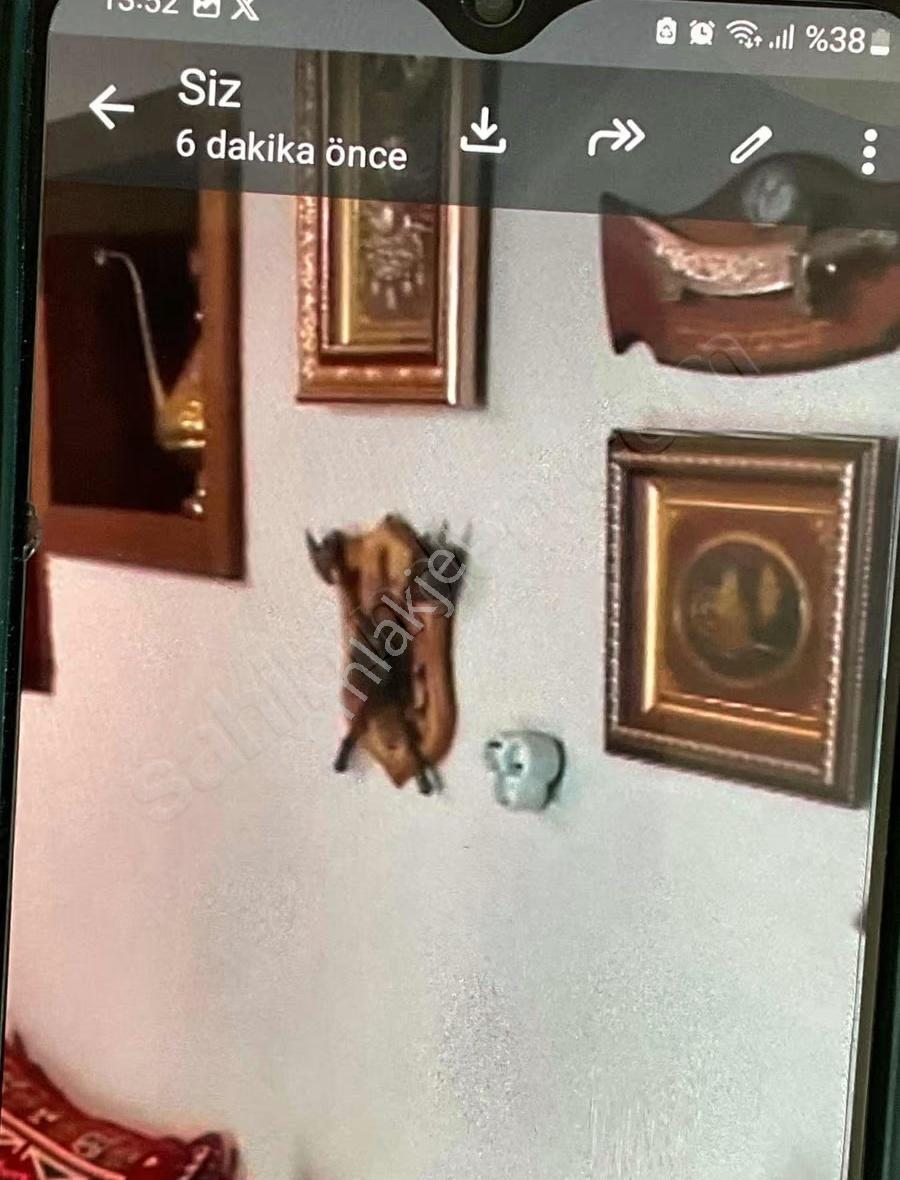 Bayındır Pınarlı Köy Evi - Görsel 4