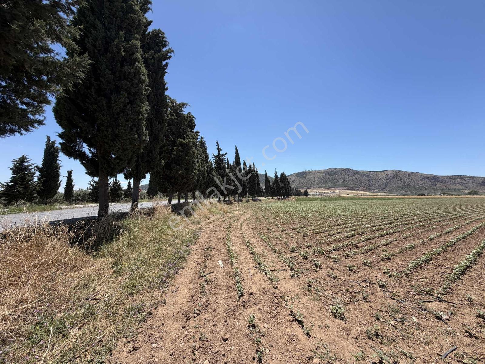 Karakaş'tan Sanayi Yolu Üzerinde Asfalta Sıfır Yatırımlık Arazi - Görsel 22