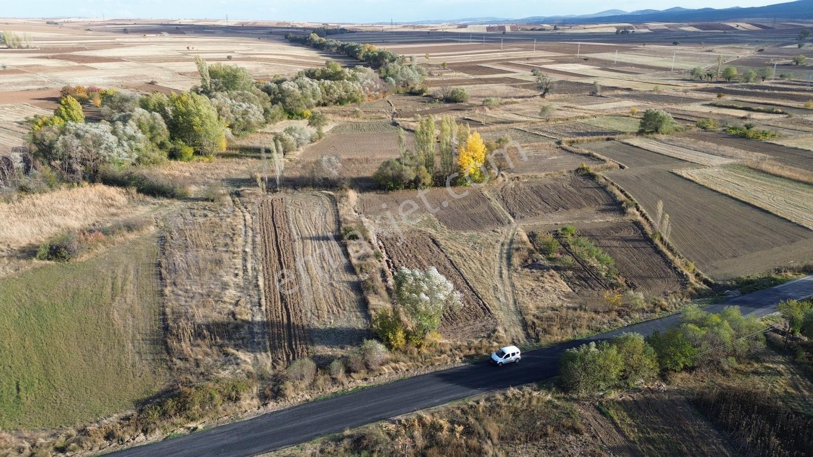 Konya / Doğanhisar / Koçaş Mahallesinde 600 M² Asfalt Cephe - Görsel 2