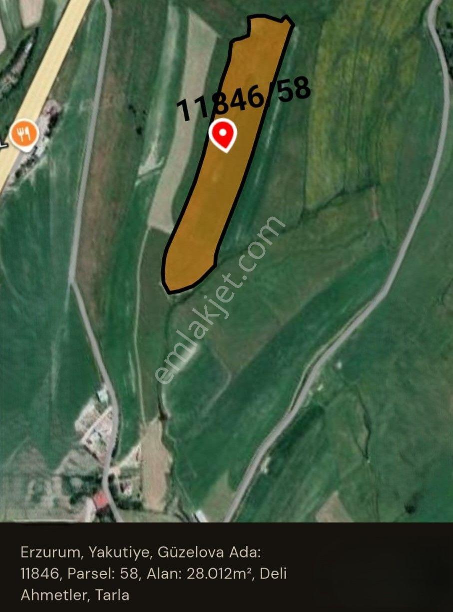 Satılık Tarla – Güzelova / Yakutiye / Erzurum