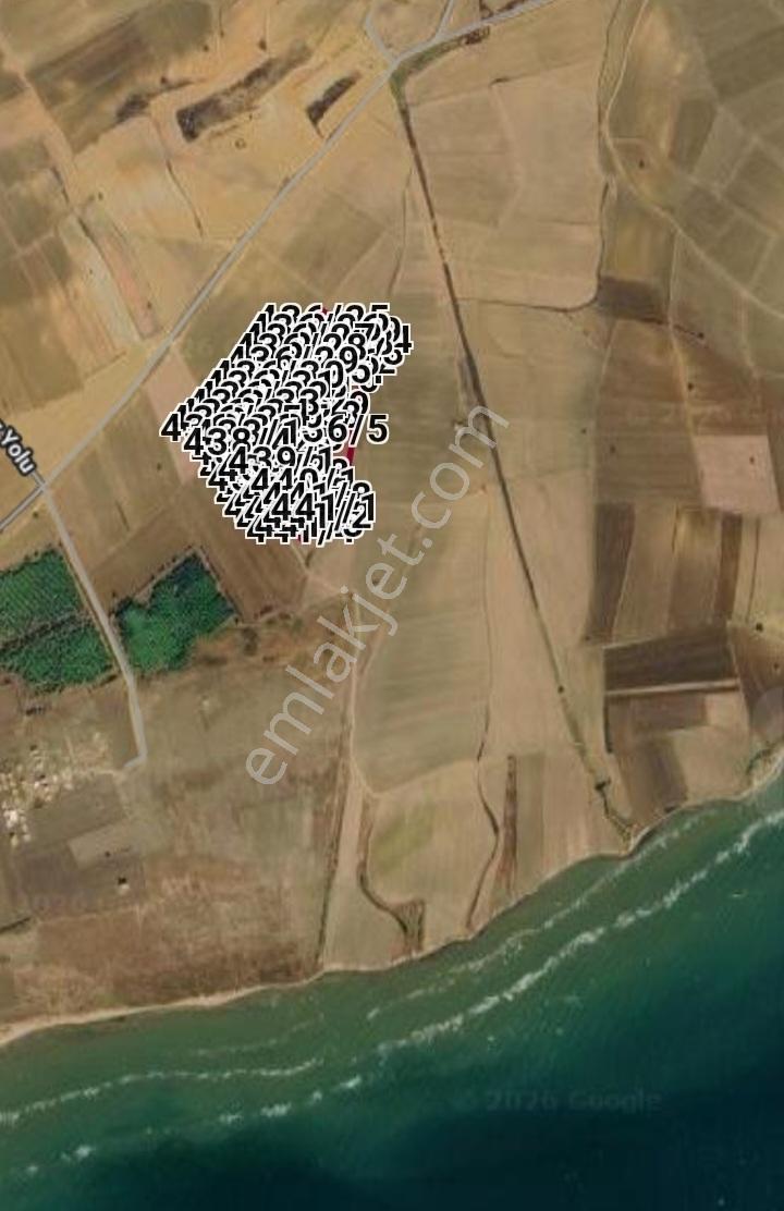 Çanakkale Gelibolu Bolayır'da Denize Yakın Müstakil Tapu Arsalar - Görsel 2