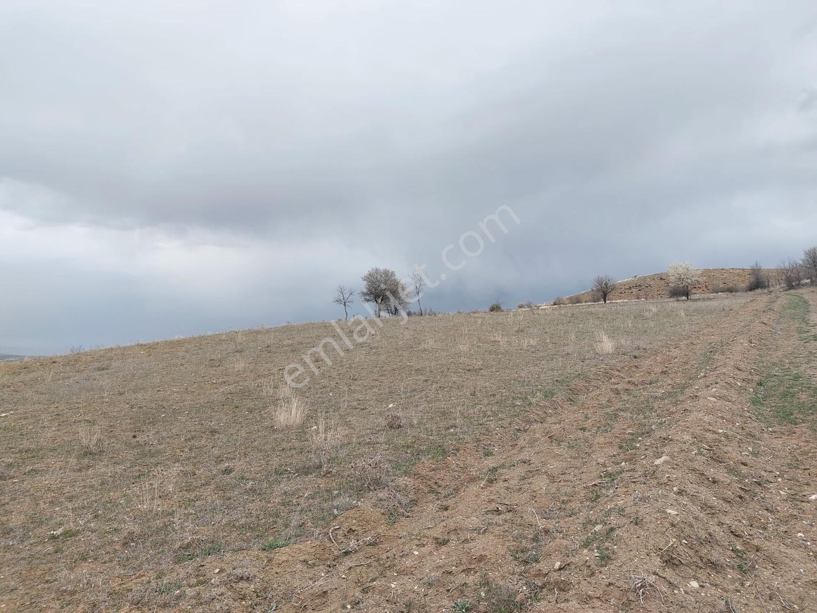Mes Emlak'tan Eldivan'da 3008m2 Yolu İçerisinde Tarla - Görsel 10