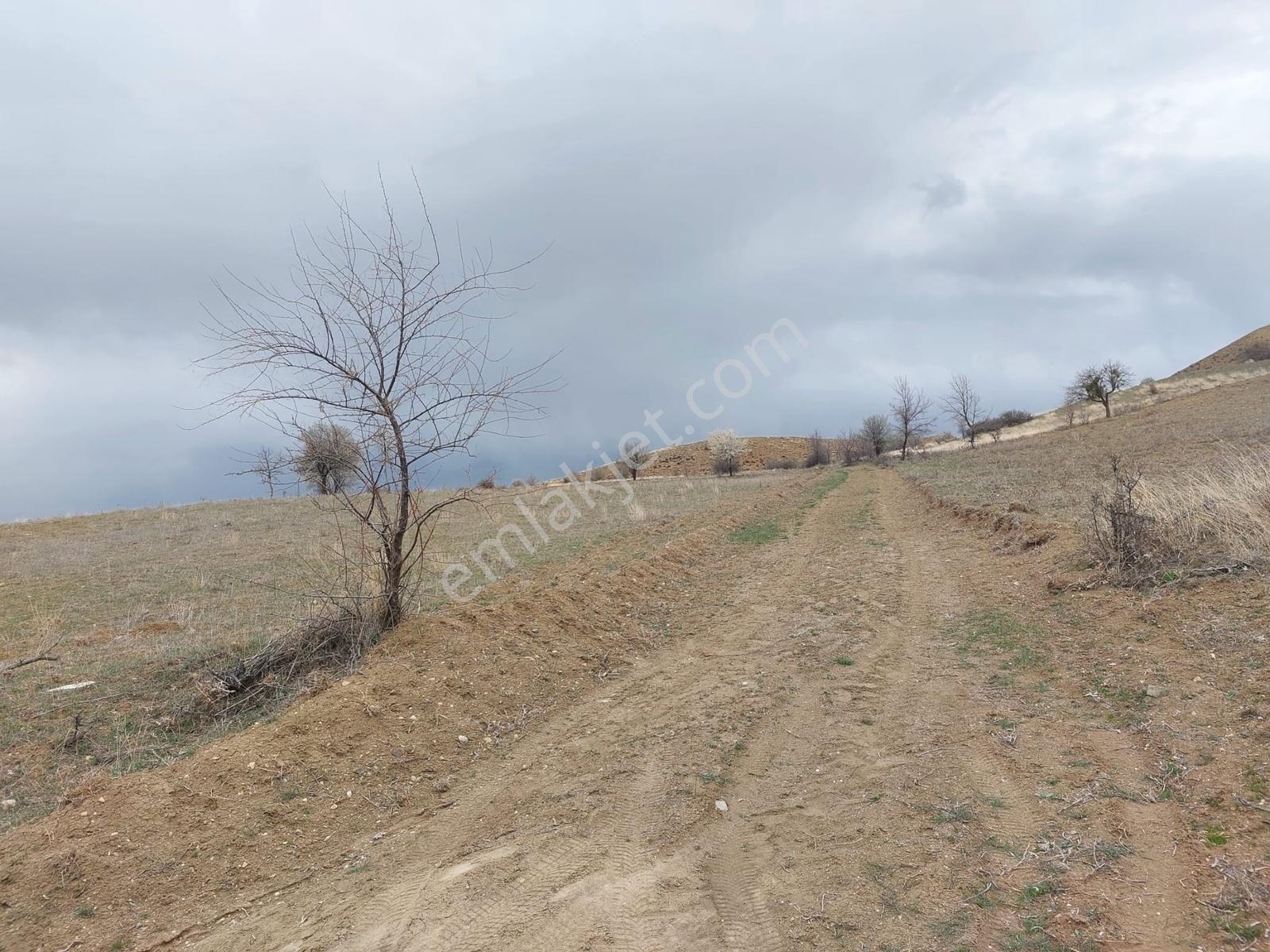 Mes Emlak'tan Eldivan'da 3008m2 Yolu İçerisinde Tarla - Görsel 2