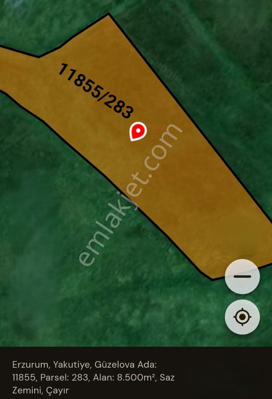 🏡 Satılık Tarla –çayır- Güzelova Mahallesi, Yakutiye / Erzurum