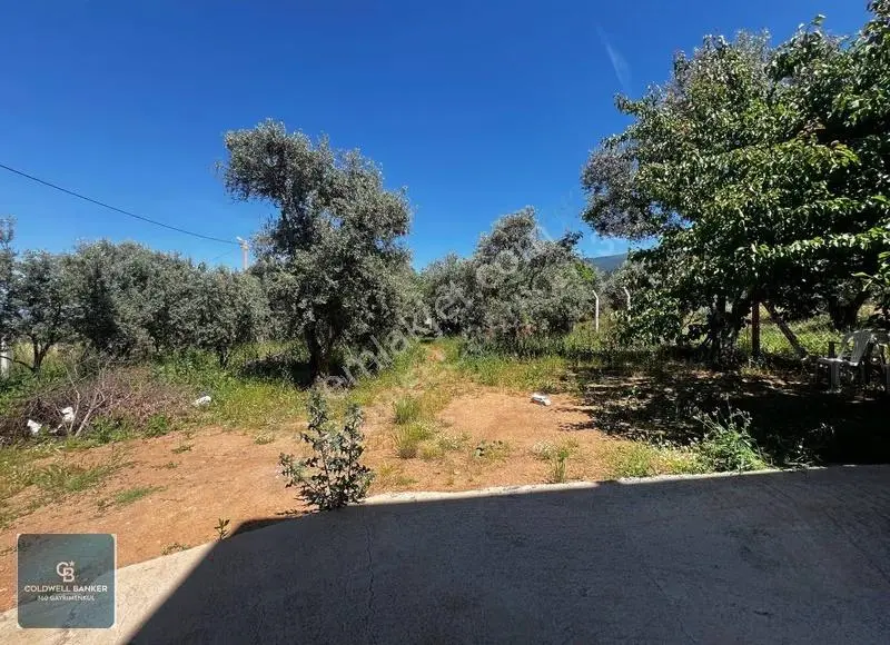 Kemalpaşa'da Fırsat 4+1 Dubleks Ev - Dam Ve 837m² Arazi - Görsel 3