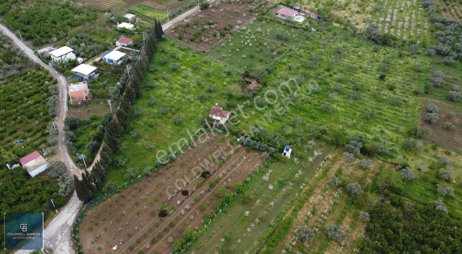 Kemalpaşa'da Yola Cephe 17.870m² Satılık Müstakil Tapulu Bağ - Görsel 16