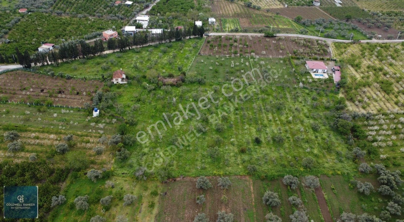 Kemalpaşa'da Yola Cephe 17.870m² Satılık Müstakil Tapulu Bağ - Görsel 12
