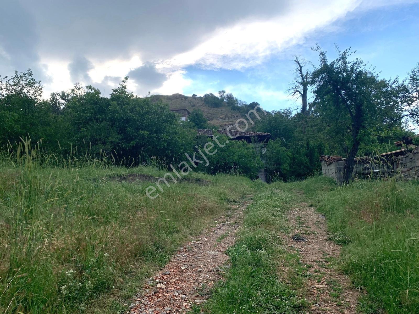 Dere Mh. 2 Katlı Ahşap Ev Ve 665m2 İmarlı Arsası - Görsel 31