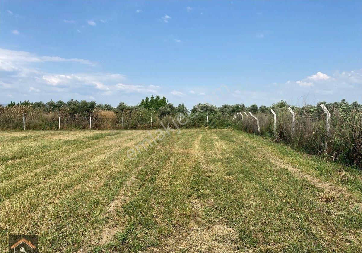 Günay Emlak'tan Torbalı Eğerci Mahallesinde Satılık 4.100 M2 Tek Tapu Tarla - Görsel 25